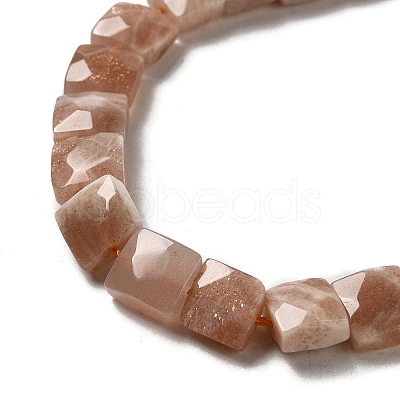 Natural Sunstone Beads Strands G-C109-A09-02-1