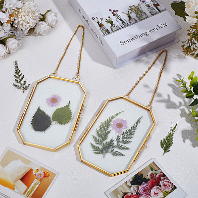 Brass Hanging Photo Frames DIY-WH0888-609B-1
