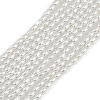 Electroplated Shell Pearl Beads Strands BSHE-H113-06A-06-1
