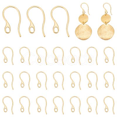 Ion Plating(IP) 304 Stainless Steel Earring Hooks STAS-UN0058-41G-1