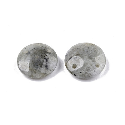 Natural Labradorite Connector Charms G-N326-149A-1