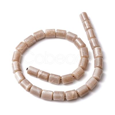 Column Natural Sunstone Beads Strands G-K070-03-1