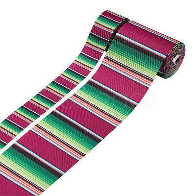 2Rolls 2 Styles Stripe Pattern Printed Polyester Grosgrain Ribbon OCOR-TA0001-37M-1