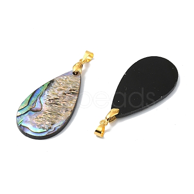 Natural Paua Shell/Abalone Shell Pendants PALLOY-JF05570-1