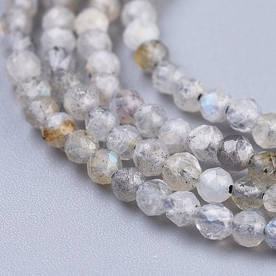 Natural Labradorite Beads Strands G-R475-025A-1
