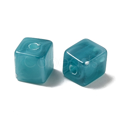 Transparent Acrylic Beads OACR-A021-14A-1
