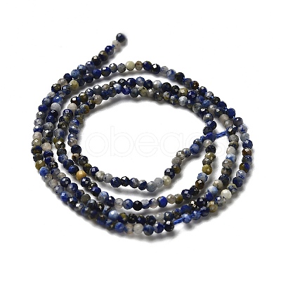 Natural Lapis Lazuli Beads Strands G-RM2025-A21-2mm-1