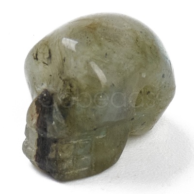 Natural Labradorite Beads G-B003-08-1