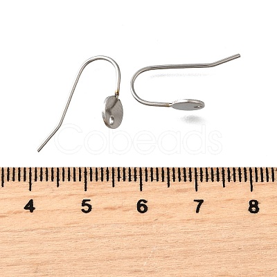 304 Stainless Steel Earring Hooks STAS-B087-09A-P-1