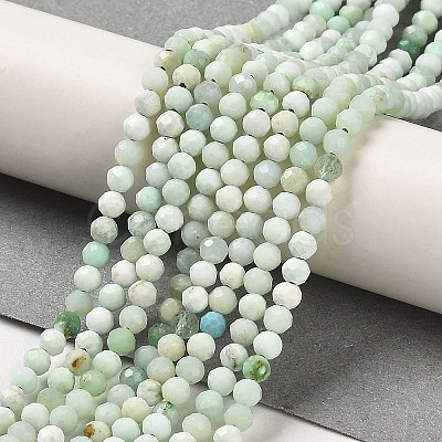 Natural Green Opal Beads Strands G-Z035-A02-02B-1