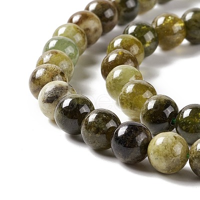Natural Garnet Beads Strand G-E584-02B-1