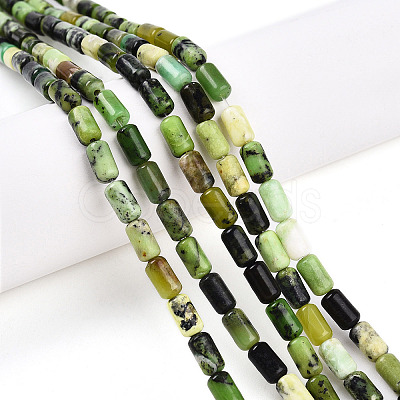 Natural Serpentine Beads Strands G-N346-01A-04-1