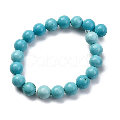 Dyed Natural Magnesite Beads Strands G-P558-A01-01B-1