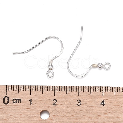925 Sterling Silver Earring Hooks STER-K167-050S-1