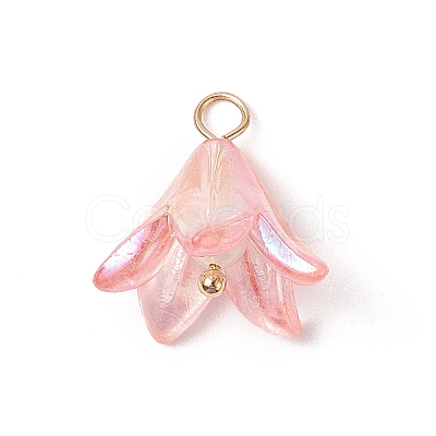 Acrylic Pendants PALLOY-TA00023-1