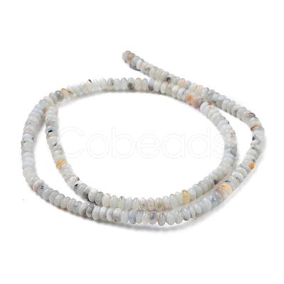 Natural Gemstone Beads Z284S011-1