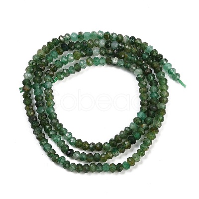 Natural Fuchsite Beads Strands G-F782-A03-01-1