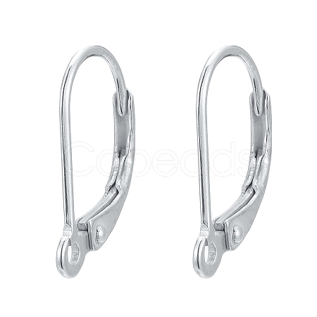 925 Sterling Silver Leverback Hoop Earrings STER-L054-52S-1