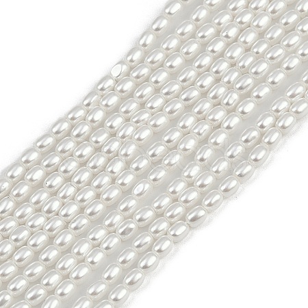 Electroplated Shell Pearl Beads Strands BSHE-H113-06A-06-1