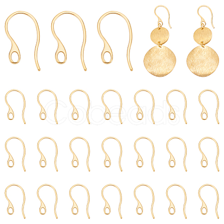 Ion Plating(IP) 304 Stainless Steel Earring Hooks STAS-UN0058-41G-1