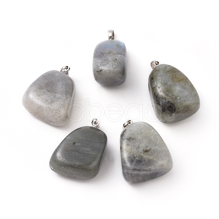 Natural Labradorite Pendants G-k302-B20-1