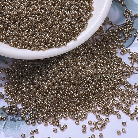 MIYUKI Round Rocailles Beads X-SEED-G007-RR0311-1