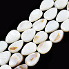 Natural White Shell Beads Strands PBB263Y-1-6