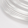 Carbon Steel Memory Wire STAS-H021-S-1-2