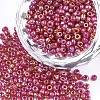 Opaque 12/0 Glass Seed Beads SEED-S023-01C-05-1