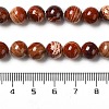 Natural Red Snakeskin Jasper Beads Strands G-H298-A02-03-5