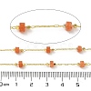 Brass Link Chains CHC-C009-02G-02-3