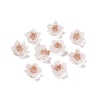 Luminous Resin Decoden Cabochons RESI-K036-06F-01-1