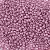 8/0 Glass Seed Beads SEED-A017-3mm-1110-2