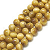 Natural Tiger Eye Beads Strands X-G-S300-8mm-107H-1