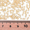 12/0 Glass Seed Beads SEED-A006-2mm-102-3