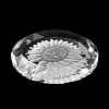 Transparent Glass Pendants GLAA-Q090-03-4