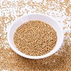 MIYUKI Delica Beads X-SEED-J020-DB2171-2