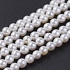 Shell Pearl Bead Strands X-BSHE-P023-5mm-1