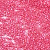 FGB 11/0 Grade A Glass Seed Beads X-SEED-S030-1144-2