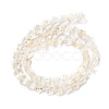 Transparent Glass Beads Strand GLAA-F112-04K-3