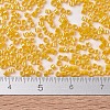 MIYUKI Delica Beads SEED-JP0008-DB1562-5
