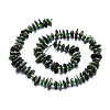 Natural Seraphinite Beads Strands G-E569-K02-2