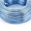 Anodized Aluminum Wire AW-S001-0.8mm-19-2