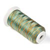 Segment Dyed Round Polyester Sewing Thread OCOR-Z001-A-11-2