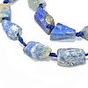 Natural Lapis Lazuli Beads Strands G-G697-E09-01-3
