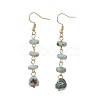 Natural Larimar Dangle Earrings EJEW-JE07529-3