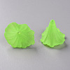 Transparent Acrylic Beads BSF796-C18-2
