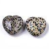 Natural Dalmatian Jasper Healing Stones G-R418-26-2-2