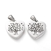 Non-Tarnish 304 Stainless Steel Pendants STAS-F253-04P-2