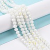 Electroplate Opaque Solid Color Glass Beads Strands EGLA-A034-P10mm-L17-5